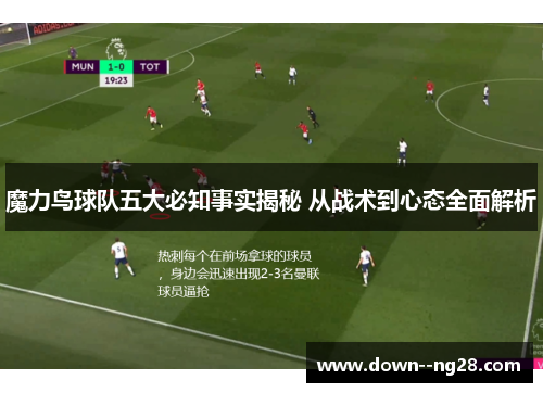 魔力鸟球队五大必知事实揭秘 从战术到心态全面解析