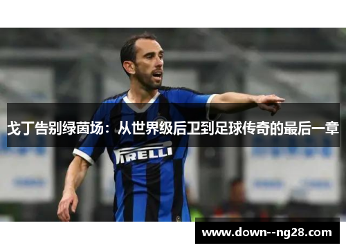 戈丁告别绿茵场：从世界级后卫到足球传奇的最后一章